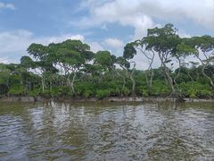 -东寨港红树林旅游区