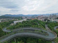 -福道