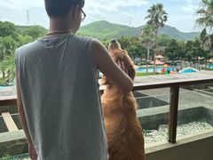 -宁波九龙湖开元度假村