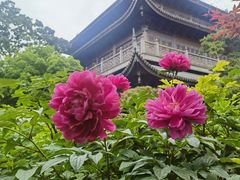 -龙华寺