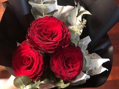 -Dark Horse·黑马蛋糕·低脂·低糖淡奶(金匙望湖大厦店)