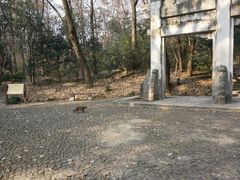 -灵谷景区