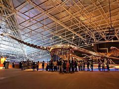 -世界恐龙谷景区