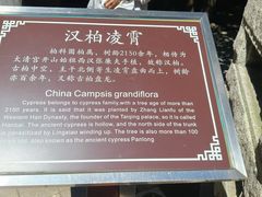 -青岛崂山太清宫