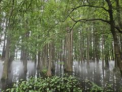 -东湖落雁景区
