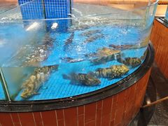 -闽南厝·闽南菜(福隆店)
