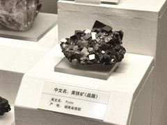 -天津自然博物馆