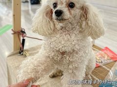 -金茂览秀城