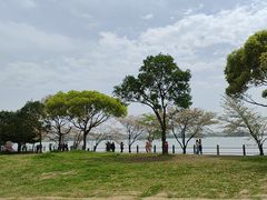 -无锡蠡湖国家湿地公园-蠡园