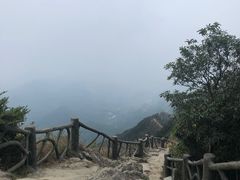 -梧桐山风景名胜区