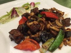 -锦江宾馆-花园餐厅