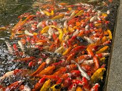 -番禺宾馆丽苑厅