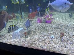 -烟台海昌鲸鲨海洋公园