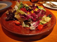 布拉格有机农场沙拉-布拉格餐厅· 中欧捷克菜(全国首店)
