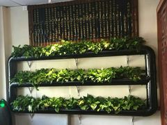 -孙三拨按摩拨筋(五一路店)