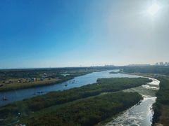 -春花秋色城市公园