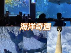 -太平洋海底世界