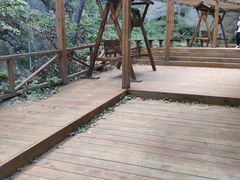-大岭沟猕猴桃谷风景区