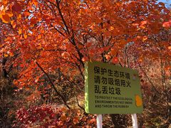 -周口店坡峰岭风景区