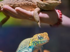 -正佳雨林生态植物园