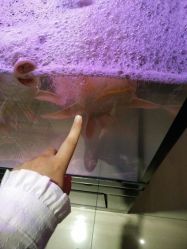 android_upload_pic-周忆刺青原创设计定制