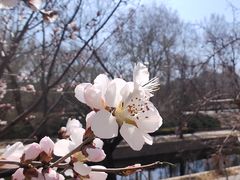 -元大都城垣遗址公园