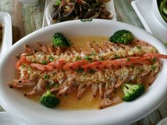 -椿记烧鹅(叠彩店)