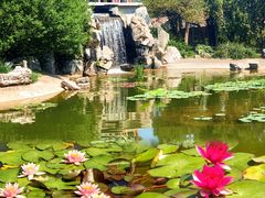 -国家植物园南园