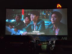 -枫花园汽车电影院(朝阳公园店)