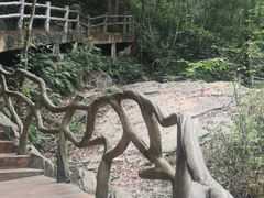 -江西阳明山国家森林公园