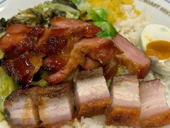 自选叉烧双拼饭-肥小福·烧鹅专门店(环宇荟店)