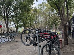 -嘉北郊野公园