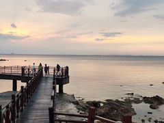 -养马岛旅游度假区