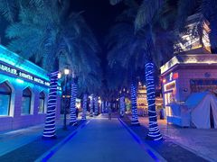 -三亚海昌梦幻海洋不夜城