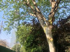 -汪记鲜鱼糊汤粉(沈阳路总店)