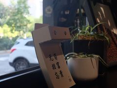 -TODAY(环城东路店)