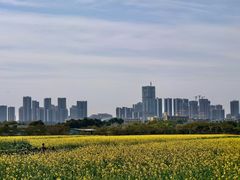 -光明小镇欢乐田园