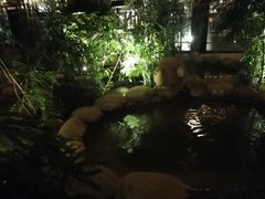 -三江森林温泉度假区