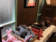 -猫咪博物馆(顶澳仔猫街店)