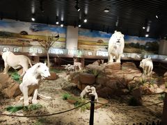 -陕西自然博物馆