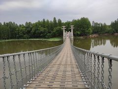 -东湖落雁景区