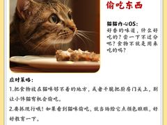 -守诺宠物医院·眼科· 特色牙科·异宠专科(虹口店)
