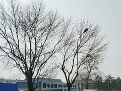 -懂车连锁奔驰宝马奥迪专修(德胜门店)