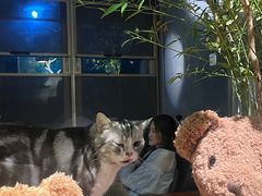 -咖法森林·咖啡  酒吧(天河店)