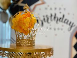 -瑞贝生日派对宝宝宴策划