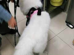 -申普宠物医院·眼科·心内科·影像科(普陀分院)