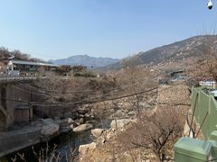 -崂山水果园农家宴(泉水鸡店)