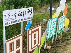 -杭州湾海上花田景区