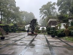 -南山植物园