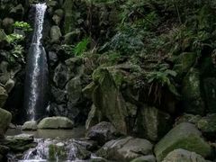 -成田山新胜寺